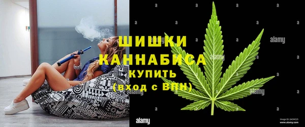 стафф Снежногорск