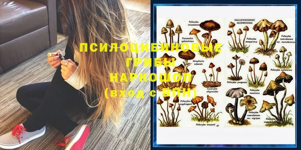 мдпв Слюдянка