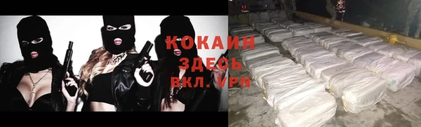 мдпв Слюдянка