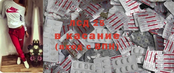 стафф Снежногорск